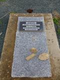 image of grave number 646572